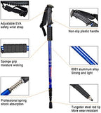 Aihoye Trekking Poles Shock Absorbing Adjustable Hiking or Walking Sticks for Hiking Collapsible Strong, 2-pc Pack Lightweight Walking Pole, All Terrain Accessories and Carry Bag