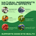 Eyebright Herbal Liquid with Organic Euphrasia, Lutein, Bilberry, Blueberry & Goji – Plant-Based Vegan Supplement for Adults – 2 fl oz