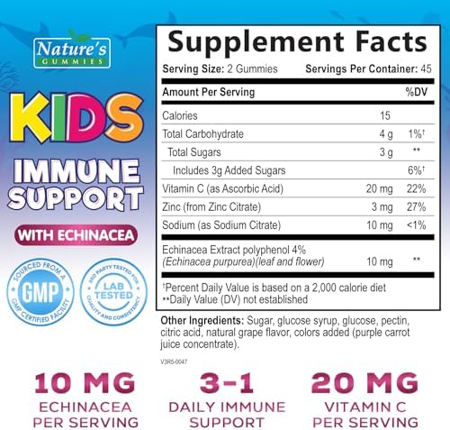 Kids Immune Support Supplement Gummies - Daily Childrens Vitamins C, Zinc & Echinacea - Gummy for Kids Immune Support, Ages 4 and Up, Natural Berry Flavor, Non-GMO, Gluten-Free & Vegan - 90 Gummies