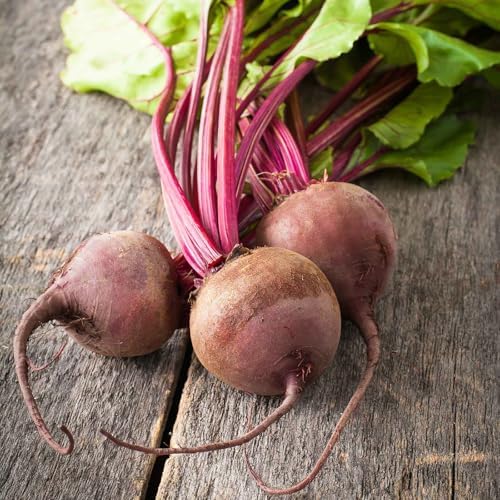 Eden Brothers Beet Seeds - Lutz Green Leaf Non-GMO Seeds for Planting, Packet | Low-Maintenance Vegetable Seeds, Plant During Warm Season, Zones 2, 3, 4, 5, 6, 7, 8, 9, 10