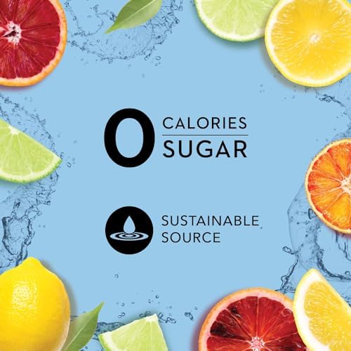 Icelandic Glacial Sparkling Water, Unflavored, 330 ml / 11.1 Fl Oz Cans (Pack of 10)