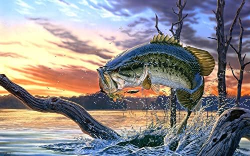 Bass Fish Edible Cake Topper – Fishing Birthday Party Decor for Anglers & Outdoor Enthusiasts – 7.5″ × 10″ Edible Icing Art Sheet for Cakes & Cupcakes