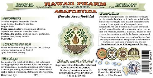 Hawaii Pharm Asafoetida Alcohol-Free Liquid Extract, Asafoetida (Ferula Assa-foetida) Dried Herb Powder Glycerite Natural Herbal Supplement 2 oz