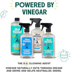 Aunt Fannie's Natural Cleaning Vinegar Wipes, Multipurpose Surface Cleaner, Eucalyptus Scent, 35 Count (Pack of 1)