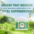 Vital Greens Superfood Powder – New Formula with 40+ Superfoods Daily Green Drink Powder w/Probiotics – Supergreens for Energy, Gut Health, Digestion Support, Plant-Based, Vegan Superfoods