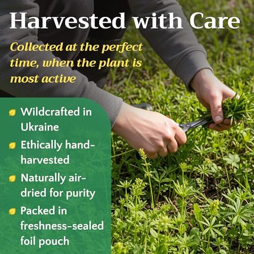 Cleavers Herb Tea (Galium Aparine) - Dried Cut & Sifted Cleaver Herbs - Fresh Herbal Loose Leaf Teas, 8 oz