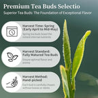 Yuexi Golden Monkey Tea Loose Leaf Jin Jun Mei Black Tea Loose Leaf Chinese Grade AAA Fujian Wuyi Mountain Core Area Tender Bud Tip Golden Eyebrow Tea Rich Honey Aroma 金骏眉 红茶 中国茶 5.29oz/150g