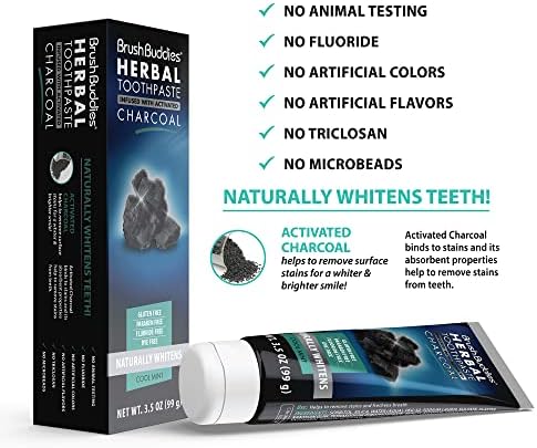Brush Buddies Herbal Toothpaste with Activated Charcoal, Whitening Toothpaste, Charcoal Toothpaste for Whitening Teeth - Cool Mint
