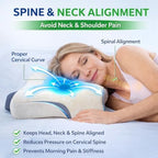 Memory Foam Pillow for Neck Pain Relief – Ergonomic Contour Bed Pillow with Variable Height, Washable Pillowcase, Cervical Neck Cushion for Side, Back & Stomach Sleepers, Hypoallergenic Slow Rebound