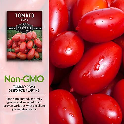 Roma Tomato Seeds for Planting - Determinate Heirloom Paste Tomato Variety for Sauce and Canning - Productive Italian Roma Tomatoes, Non-GMO Open Pollinated - Survival Garden Seeds (1 Pack)