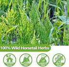 Premium 100 Horsetail Tea Bags, Made with 100% Wild Natural Horse Tail Herb, For Hair & Nail, No Additives & Caffeine Free-Cola De Caballo Hierba.