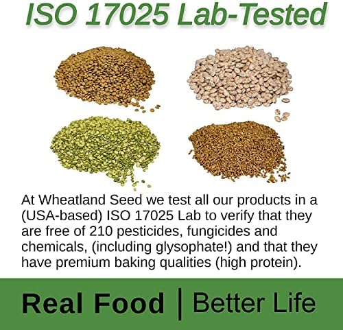 Wheatland Steel Cut Oats, 20lb Bucket, Lab Tested Chemical Free, 4 Gallon HDPE Bucket with Mylar Liner & Oxygen Absorber, 15 Year Shelf Life, USA Grown, NON GMO, Kosher, Farm Fresh Flavor, 40 Year Legacy in Food Storage