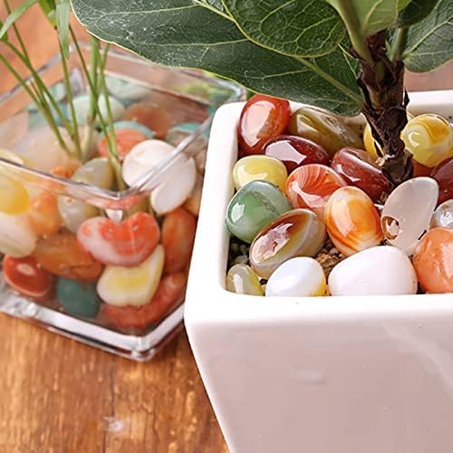Natural Mixed Polished Agate Crystals Bulk Lot Assorted Tumbled Stones Gemstones,100g