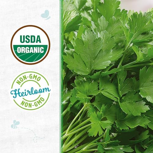 Back to The Roots 100% Organic Seed Packet - Parsley 'Italian Large Leaf' 420mg