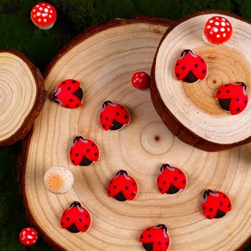 Edible Ladybug Cupcake Toppers 32pcs, Ladybug Icing Decorations for Cakes, Cupcakes, Ice Cream, Cookies, and Macarons