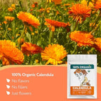 Organic Calendula Flowers for Natural Healing & Renewal – Calendula Herb for Herbal Use & Skin Health – Marigold Flower Tea - Flor de Caléndula Orgánica (2oz.)