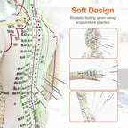 Acupuncture Model, Human Acupoint Model 20.5in Full Body Silicone Professionals Clear Identification with Base for Chinese Medicine Teaching Acupoint Student Demonstration (Male)