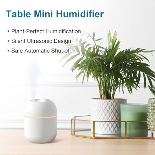 Portable Small Humidifier, USB Personal Desktop Humidifier for Car, Office Room, Bedroom, Auto Shut-Off, 2 Mist Modes, Super Quiet, 220ml, White