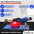Cando 30-1800 Blue Non-Slip PVC Vinyl Inflatable Exercise Ball, 12" Diameter, 300 lbs Weight Capacity