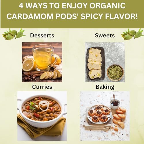 SPICY ORGANIC Green Cardamom Pods – 3 lb - Whole Cardamon Seeds for Authentic Spice Flavor, Natural Cardamon Pod for Tea, Cooking, and Baking- USDA Certified Organic, Gluten-Free, Non-GMO and Kosher