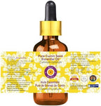 Deve Herbes Pure Cumin Seed Essential Oil (Cuminum cyminum) with Glass Dropper Steam Distilled 50ml (1.69 oz)