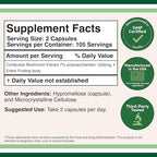 Cordyceps Capsules (Cordyceps Sinensis Mushroom Extract) 210 Count, 3.5 Month Supply, 1,000MG (7% Polysaccharides with Alpha and Beta Glucans) Overall and Aging Support by Double Wood
