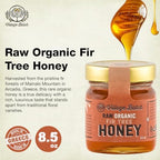 Village Batch Raw Organic Fir Tree Honey 8.5oz Jar (Pack of 1) Unfiltered and Unpasteurized Greek-Honey from Mainalo Mountain, Smooth Texture with Vanilla and Conifer Notes