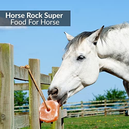 Salt Lick for All Animals – 100% Natural Pure Salt Rock for Horses, Rabbits, Cattle and Livestock – Long Lasting | 6-8 LBS