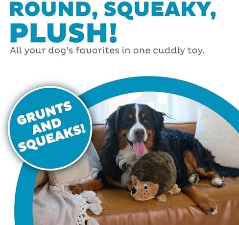 Outward Hound Hedgehogz Stuffed Dog Toy – Soft Plush Hedgehog, Grunts & Squeaks, XL, 12" x 8.5" x 9"
