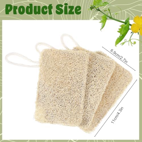 3Pcs Natural Loofa, 100% Real Natural Loofah Sponges Set, Loofah Sponge for Dishwashing, Luffa Sponges