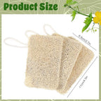 3Pcs Natural Loofa, 100% Real Natural Loofah Sponges Set, Loofah Sponge for Dishwashing, Luffa Sponges