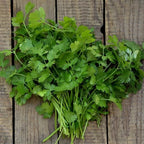 Rani Fresh Cilantro (Coriander) Leaves 2.5oz - 3.5oz, Pack of 1 ~ All Natural | Vegan | Gluten Friendly | NON-GMO | Product of USA