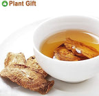 Plant Gift 100% Roasted Burdock Root Tea, Medicinal Herb, Dried Bulk Herbs, Gold burdock Tea, Chinese flavor tea 100G/3.52oz