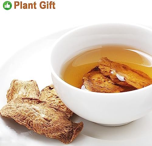 Plant Gift 100% Roasted Burdock Root Tea, Medicinal Herb, Dried Bulk Herbs, Gold burdock Tea, Chinese flavor tea 100G/3.52oz