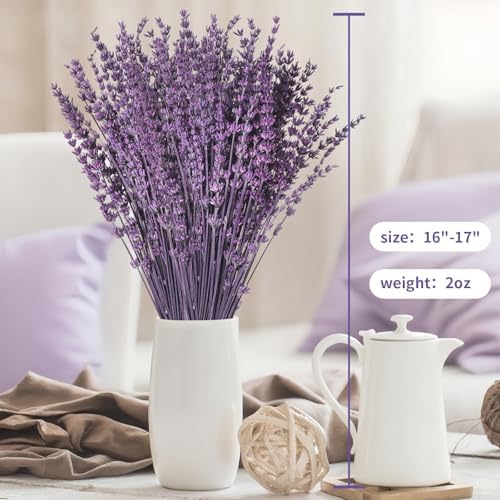 Dried Lavender Flower Bundle for Vase Decor –15''-17'' 2oz(56g) Preserved Lavender Sprigs Purple Flower Bouquet Floral for Wedding Table Home Decor DIY Craft, Dry Plant, Fragrance