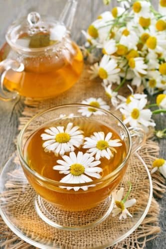 Organic Greek Chamomile Tea 10 sachets per box (by Geusi Vounou)