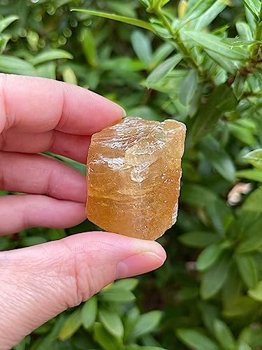 GAF TREASURES 3 Pcs Honey Calcite Rough Natural Stones, Raw Calcite Crystals (Honey Calcite)