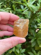 GAF TREASURES 1 Pound Honey Calcite Rough, Natural Honey Calcite Stones - Raw Calcite Honey Rock for Decor, Tumbling, Cabbing, Polishing, Fountain Rocks, Wicca, and Reiki (Honey Calcite)