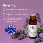 Plant Therapy Lavender Essential Oil 100% Pure, Undiluted, Natural Aromatherapy, Therapeutic Grade 30 mL (1 oz)