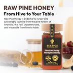 BEE and YOU Pine Raw Honey, Honeydew Honey, Wild-crafted, 100% Natural, Unprocessed, Enzymes, Antioxidants, Manuka Honey Alternative, Paleo, Gluten-Free (10.6 oz)