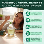 Organic Yerba Mate Tea Bags - Natural Energy Tea With Ashwagandha & Ginkgo Biloba - Organic Unsmoked Yerba Mate Tea for a Natural Sustained Energy Boost - Coffee Alternative, Naturally Occurring Caffeine