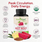 ForestLeaf USDA Organic Beet Root Capsules - Beetroot Supplement 1000mg 20:1 Extract w/Ginger Grape Seed - Support Blood Pressure, Nitric Oxide, Flow, Circulation - Made in USA - 120 Caps