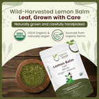 Organic Way Lemon Balm Leaf Whole (Melissa officinalis) - Herbal Tea | Organic & Kosher Certified | Vegan | Raw, Non GMO & Gluten Free | USDA Certified | Origin - Albania (2 Ounce (Pack of 1))