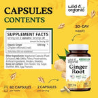 Wild & Organic Ginger Root Capsules 1200 mg - Immune & Digestive Support - Natural Ginger Supplements - Zingiber Officinale Powder - 30 Days of Supply - Vegan, No Fillers, Non-GMO - 60 Count