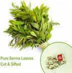 FullChea - Senna Tea, 50 Teabags, 1.5g/bag - Naturally Senna Leaf Tea for Constipation - Non-GMO - Caffeine-free - Support Digestion & Boost Immune System
