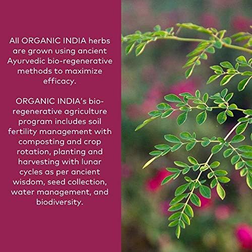 Organic India Triphala - Herbal Supplement with Amla, Bibhitaki, Haritaki, Digestion & Colon Support, Immune System Support, Adaptogen, Vegan, USDA Certified Organic - 1 lb Bag