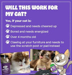 Cat Crack Catnip, Zoomie-Inducing Cat Nip Blend, North American Made & 100% Natural, Safe & Non-Addictive Catnip Treats Used to Supplement Cat Nip Toys, Spray, & Accessories (1 Cup)