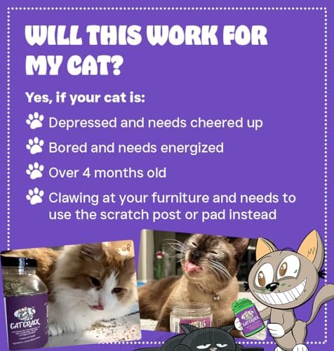Cat Crack Catnip, Zoomie-Inducing Cat Nip Blend, North American Made & 100% Natural, Safe & Non-Addictive Catnip Treats Used to Supplement Cat Nip Toys, Spray, & Accessories (1 Cup)