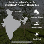 Organic India Purely Assam Black Tea - Caffeinated Herbal Tea Bags with Natural Assam Leaves, Enjoy with Milk & Sweetener, USDA Organic, Non-GMO, Fairtrade Certified - 18 Bags