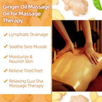 Ginger Oil Massage Oil for Massage Therapy,Ginger Oil Lymphatic Drainage Massage,Sore Muscle Massage Oil,Natural Ginger Body Oil for Gua Sha Massage with Arnica Oil-Warming,Relaxing,Soothing Muscles
